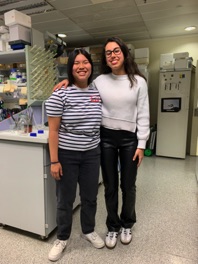 High school students in the lab 2025