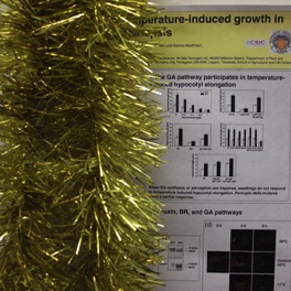 Christmas in the lab 2010 Christmas in the lab 2010