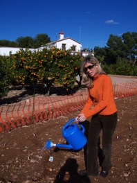 Arabidopsis field 2005 Arabidopsis field 2005